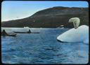 Image of Polar Bear on Iceberg, Watching kayaks